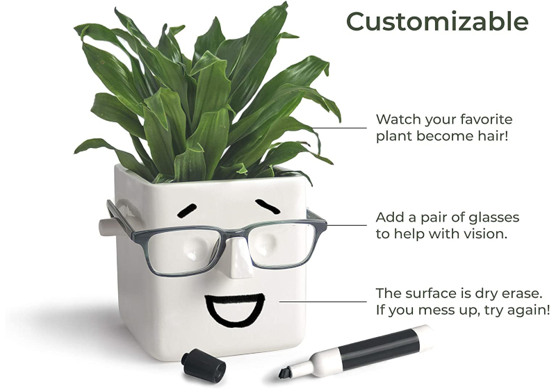 face novelty planter
