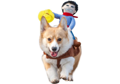 cowboy rider dog costume